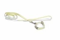 Beeztees Welpen-Set mit Halsband und Leine, Gelb