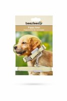 Beeztees Welpen-Set mit Halsband und Leine, Gelb