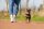Mit dem Beeztees Tori Puppy Set geben Sie Ihrem Hund ein Halsband und eine Leine, die perfekt zusammenpasst Dieses Halsband ist mit einer Schnalle versehen, die das Anziehen des Halsbandes erleichtert
