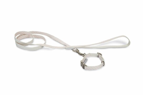 Beeztees Welpen-Set mit Halsband und Leine, Rosa