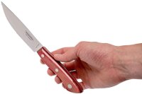 Steakbesteck-Set BUENO rot 4-tlg. in Naturholzkiste, Klinge aus rostfreien Edelstahl komplett Spülmaschinengeignet