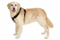 ART SPORTIV PLUS GESCHIRR CROSS SCHWAR 25MM 48-55CM