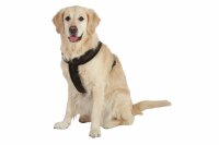 ART SPORTIV PLUS GESCHIRR CROSS SCHWAR 25MM 48-55CM