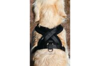 ART SPORTIV PLUS GESCHIRR CROSS SCHWAR 25MM 52-60CM