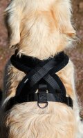 ART SPORTIV PLUS GESCHIRR CROSS SCHWAR 25MM 64-80CM