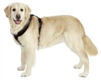 ART SPORTIV PLUS GESCHIRR CROSS SCHWAR 25MM 64-80CM