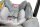 Osann Coco i-Size, Babyschale 40 bis 80 cm - Sarah Harrison - HEART