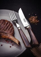 Tramontina PAMPAS Premium Steakmesser, 4-teiliges Set, rostfreier Edelstahl, Echtholzgriff FSC, spülmaschinenfest (Rot, 4-tlg.)