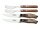 Tramontina PREMIUM Steakbesteck-Set, rostfreiem Edelstahl, FSC, Full Tang (RIO GRANDE)