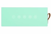 Fresh n Rebel ROCKBOX BRICK XL Fabriq Edition Peppermint | Kabelloser Bluetooth Lautsprecher